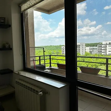 Peaceful With A Forest View *