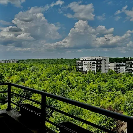Peaceful With A Forest View